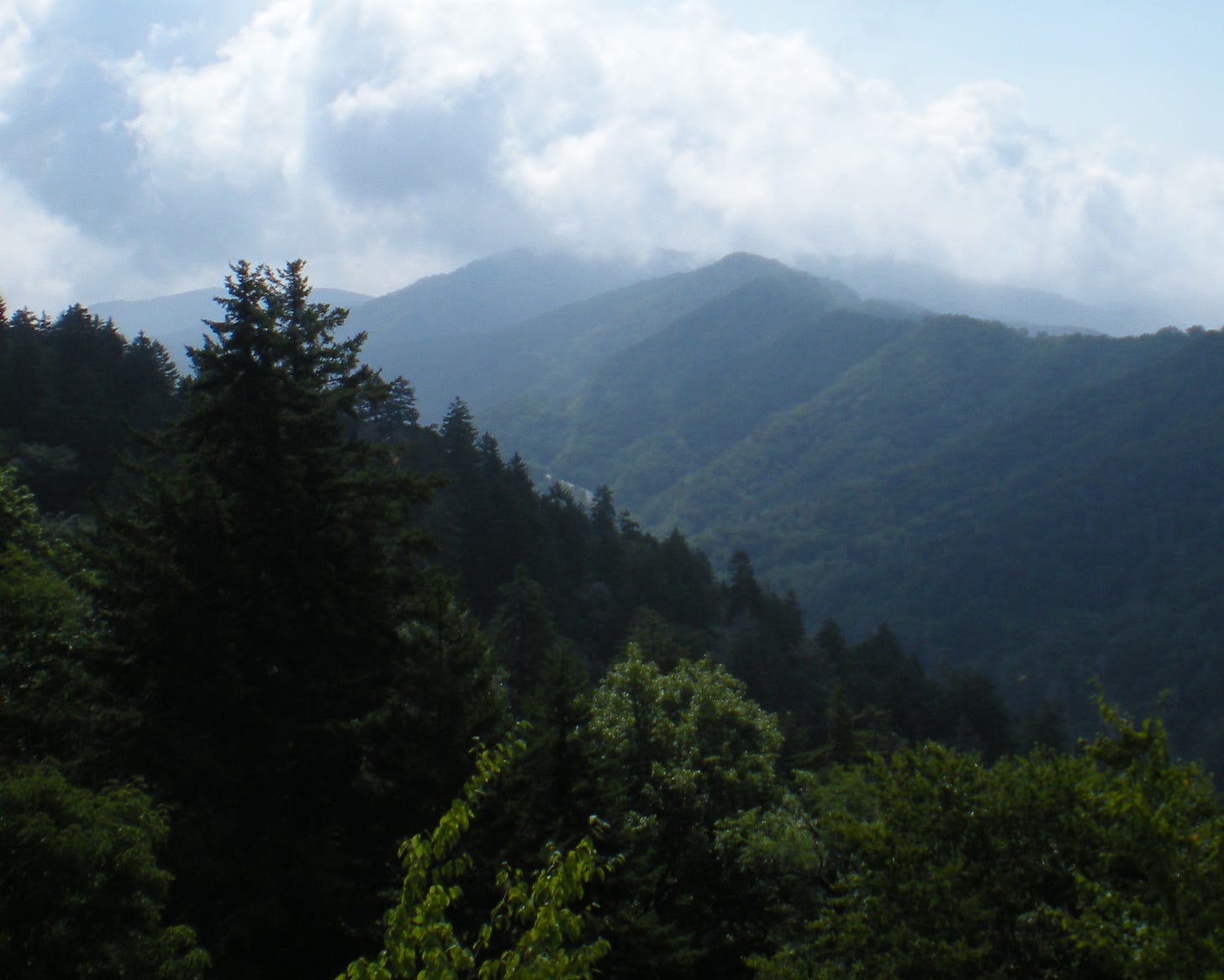Vista over long forested mountain ridge with low clouds.