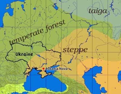 A transformed Landscape: The Steppes of Ukraine and Russia" | Environment &  Society Portal