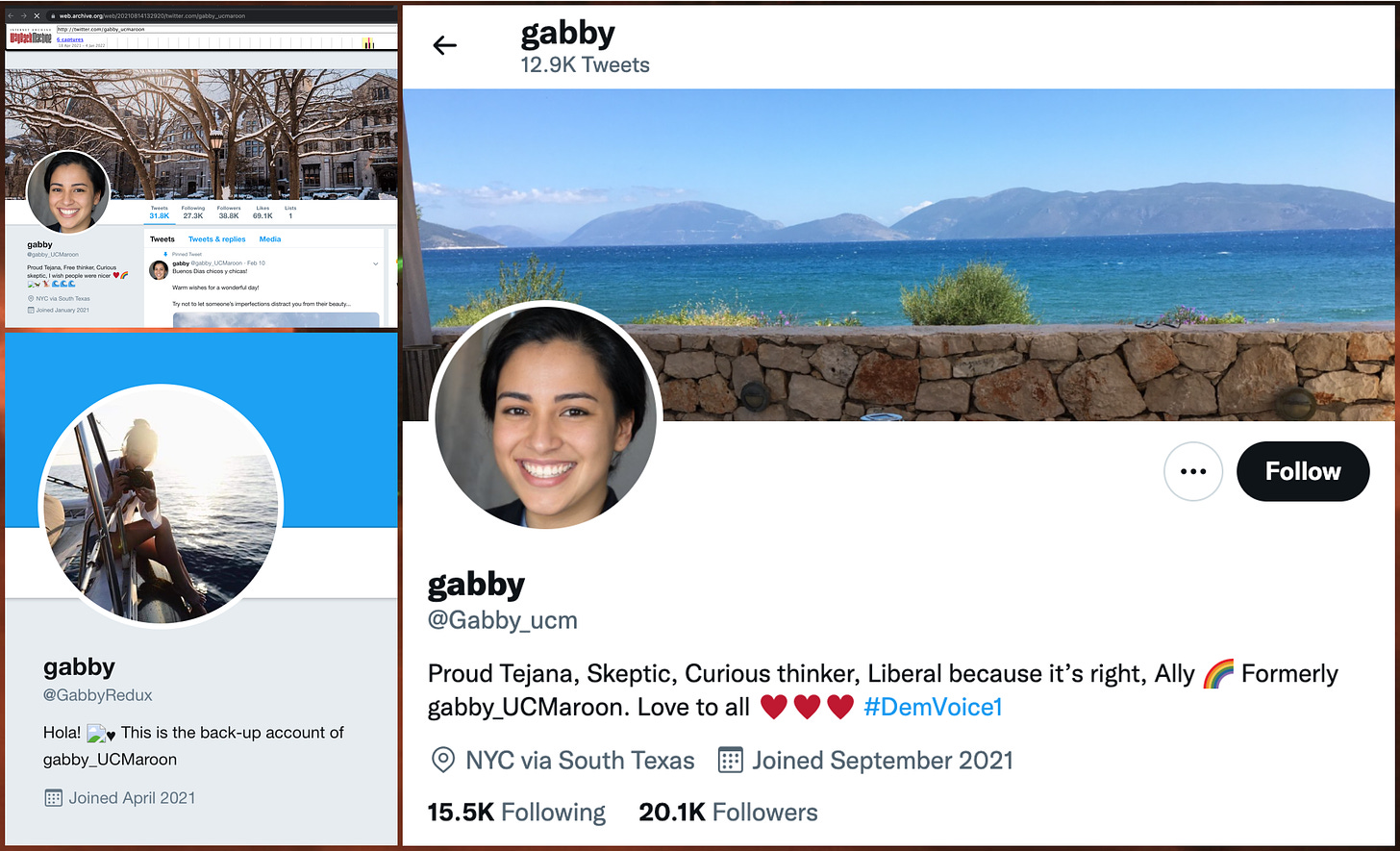 screenshots of the profiles of the "Gabby" accounts: @Gabby_UCMaroon, @GabbyRedux, and @gabby_ucm