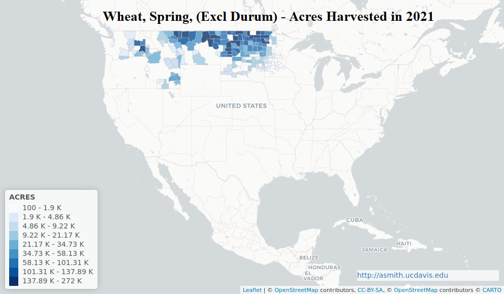 Spring Wheat Production