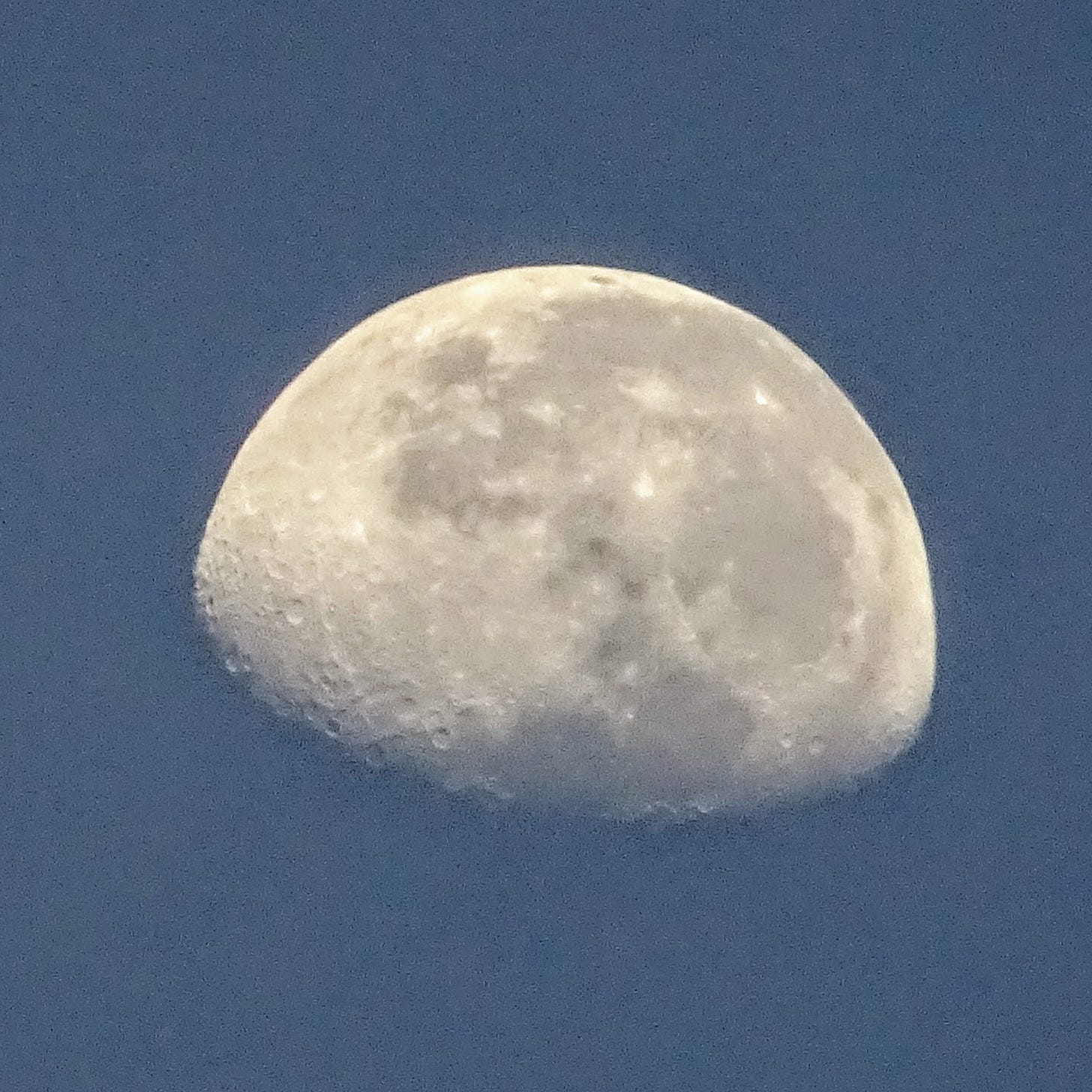 A waxing Moon captured in daylight
