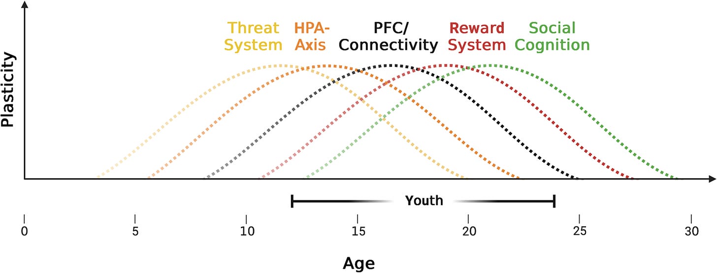 Figure with plasticity on the y axis, age on the x axis, and brain circuits depicted in curves showing their peak plastic age
