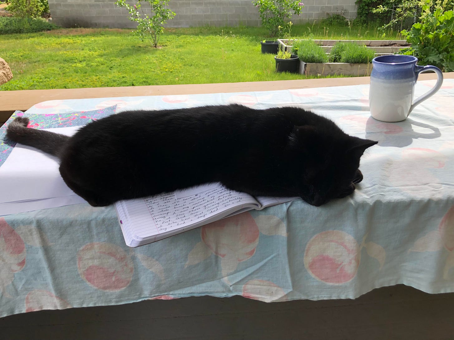 a Black cat sprawled across an open notebook on a sunny outdoor table.