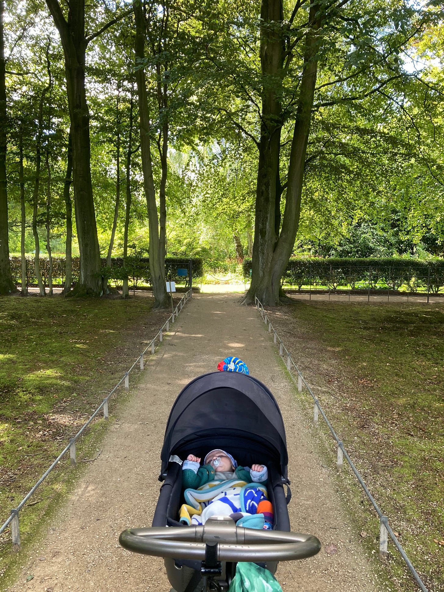 a baby in a pram on a pathway with trees in the distance.