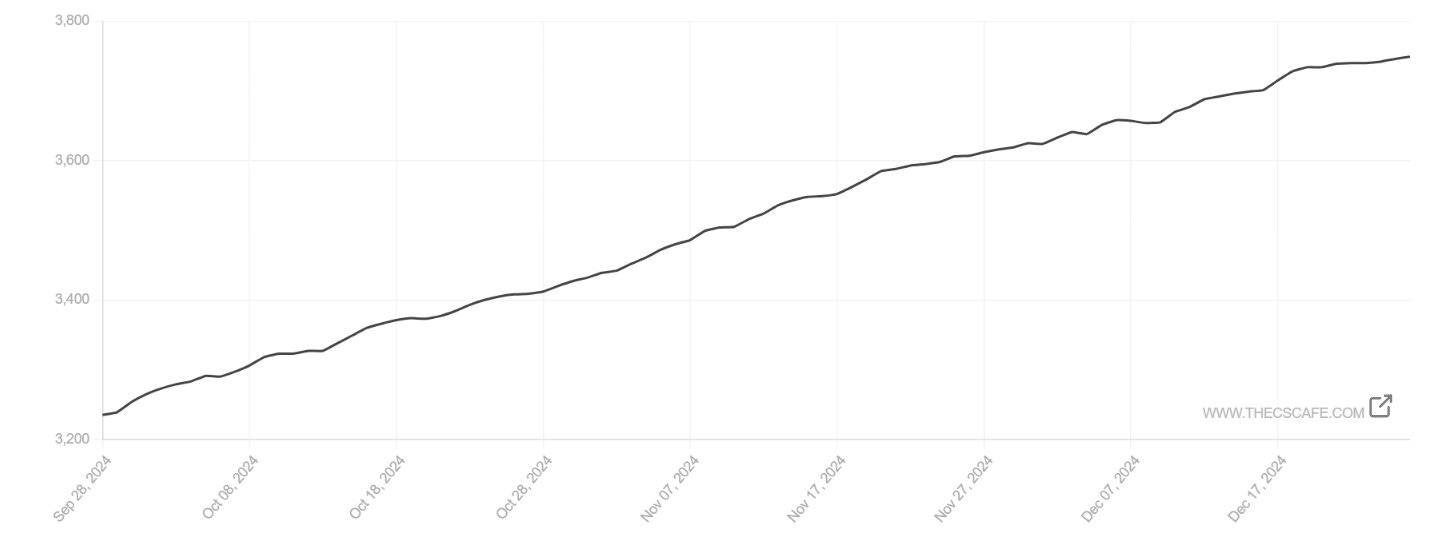 Line graph showing steady subscriber growth from September 28, 2024 to December 17, 2024, increasing from approximately 3,200 to 3,749 subscribers.