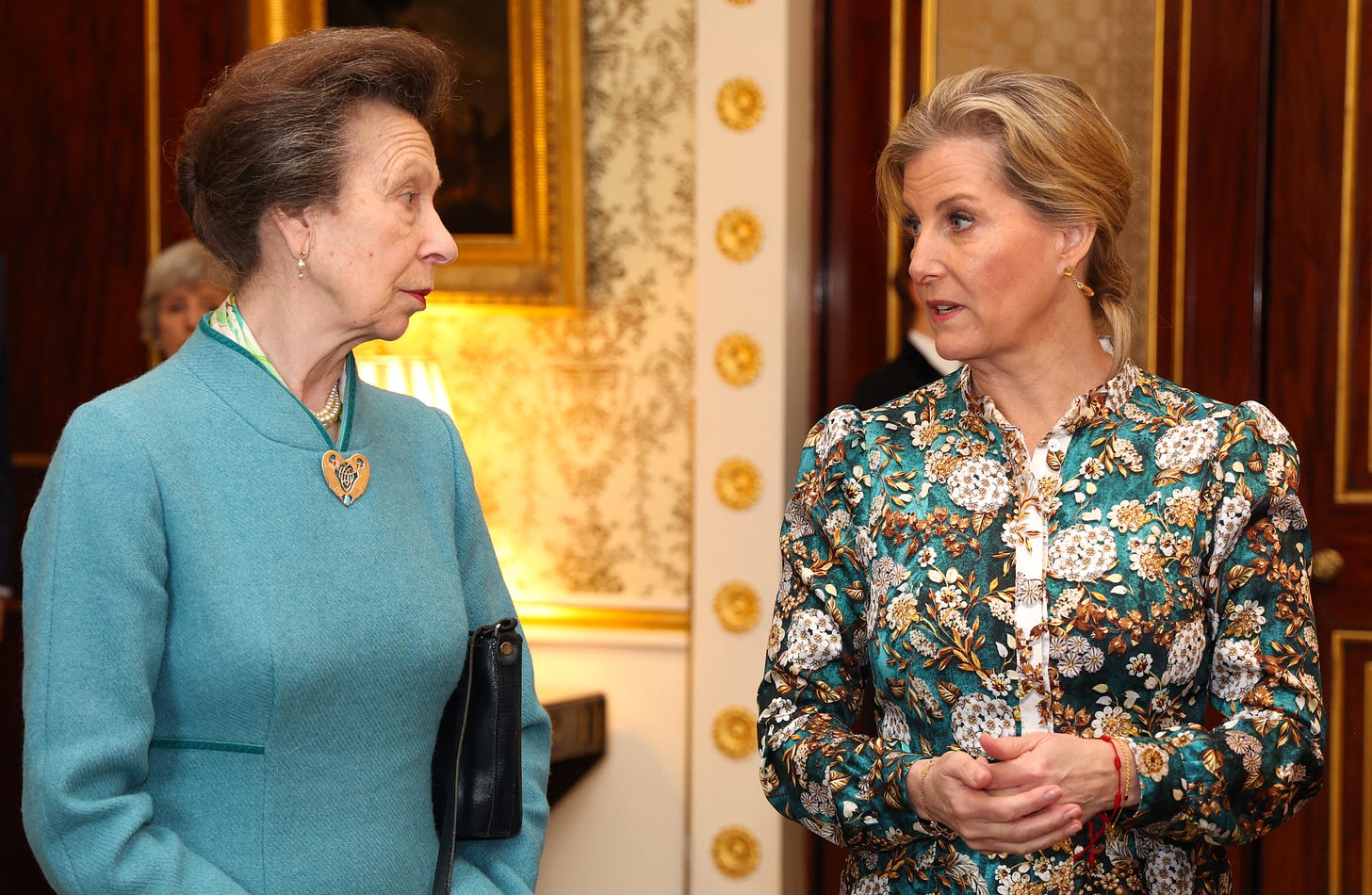 Princess Anne and Duchess Sophie at palace reception