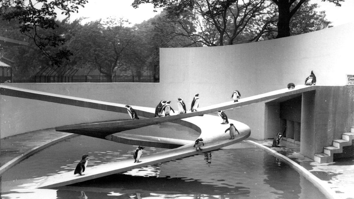 Circling the Drain: What to Do With London Zoo's Deserted Penguin Pool -  99% Invisible
