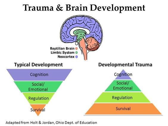 The image illustrates the differences in brain development between typical development and developmental trauma. It shows how trauma impacts the brain's hierarchical structure:  Typical Development: The hierarchy is depicted as a triangle with cognition at the top, followed by social/emotional development, regulation, and survival at the base. Developmental Trauma: The hierarchy is inverted, with survival at the base, followed by regulation, social/emotional development, and cognition at the top. This model suggests that trauma disrupts normal brain development, prioritizing survival over higher cognitive functions.