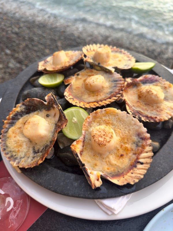 EnjoyinConchitas a la parmesana , Parmasean Scallops, with the beach in the backdrop