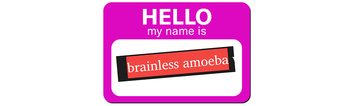 A name badge reading HELLO MY NAME IS: BRAINLESS AMEOBA