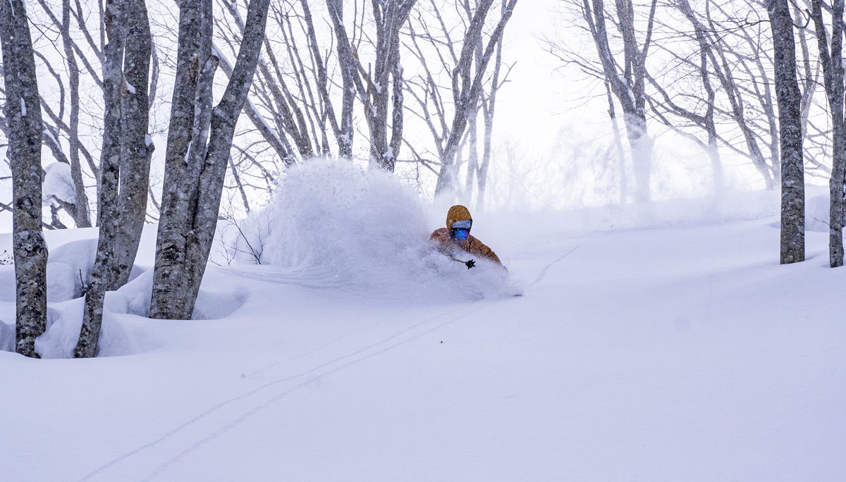 Hakuba Cortina Norikura: Best Tree Skiing On The Planet? ⋆ SnowAction