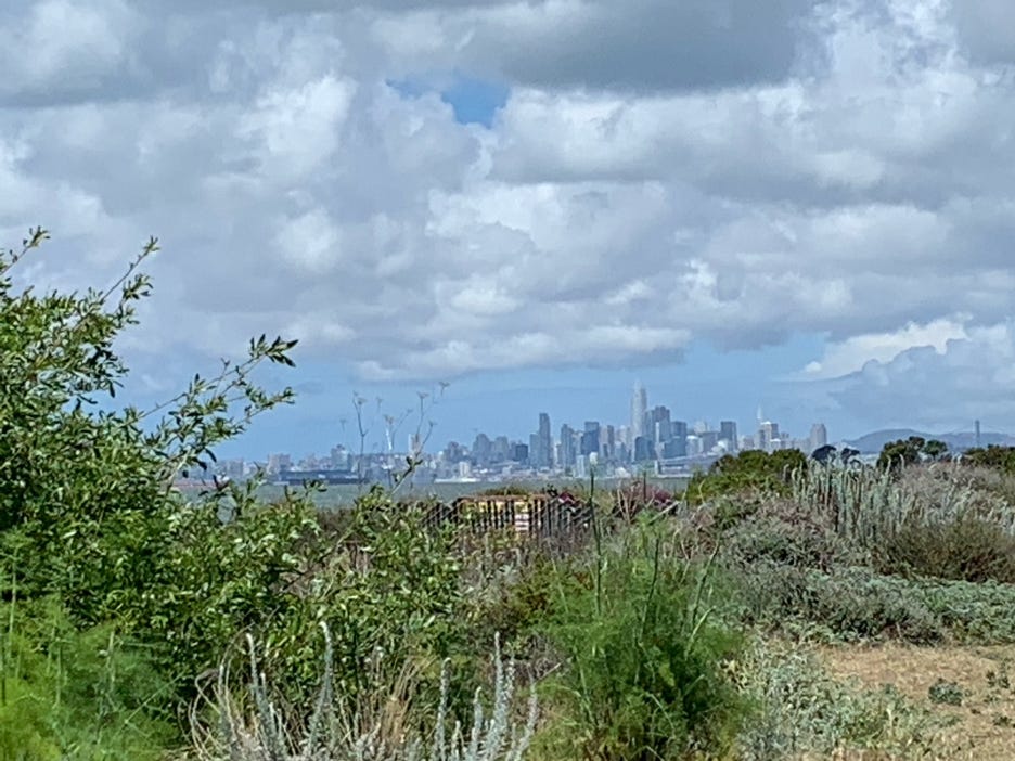 The San Francisco skyline in the distance, seen from across the San Francisco Bay