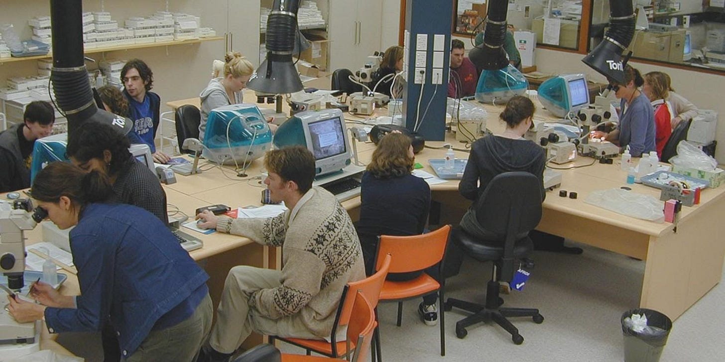Students in a biodiversity laboratory Students in a biodiversity laboratory