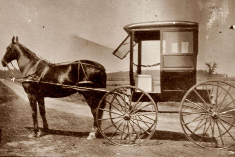Amischer Buggy mit Pferd um 1900.