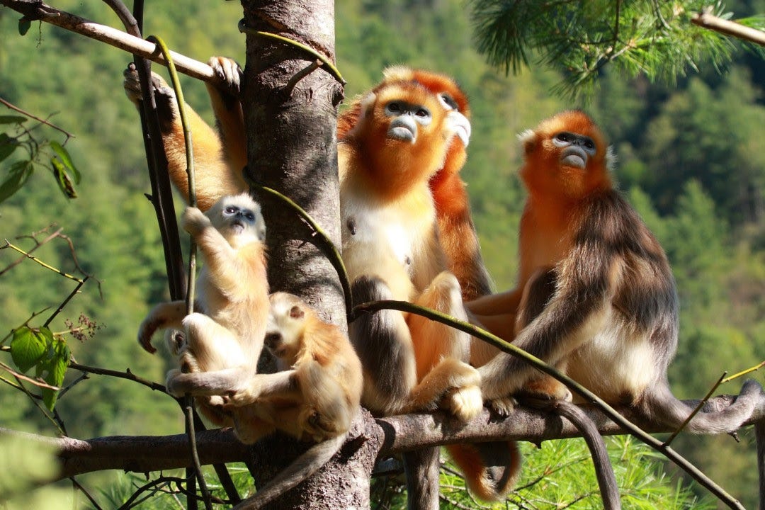 Newsletter cover image
