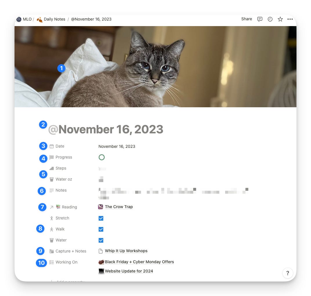 An image of a Daily Note marked November 16th, 2023, there is an image of a Lynx Point Siamese as the cover.]