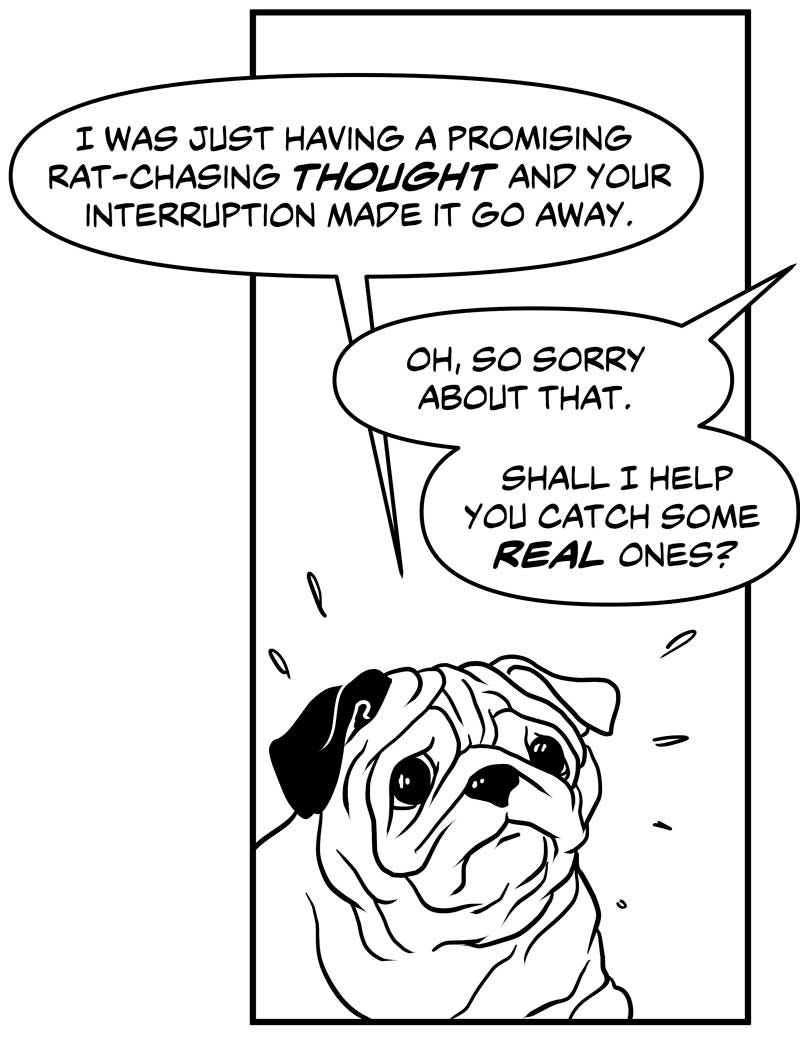 Little Hunterman’s Monday-Wee: Harrybert Simms, Rookie Rat-Chasing Pug— Virtual Training Session 3