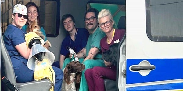 Dogs and rescuers in the back of a police van