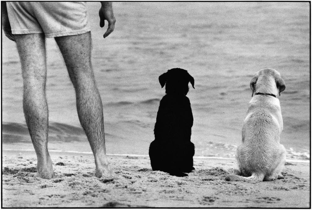 Elliott Erwitt, Amagansett, New York, 1990