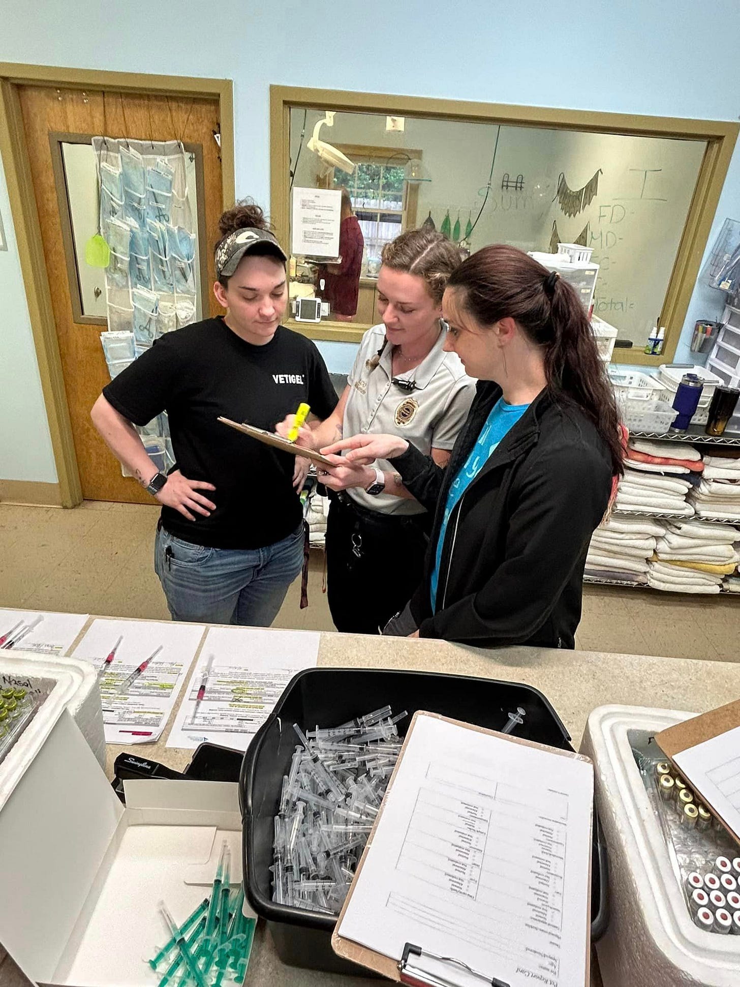 May be an image of 3 people, people studying and text