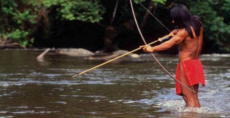 Akuntsu people: the native hunter fishing with a bow in the Madeira River, the tributary of the ...