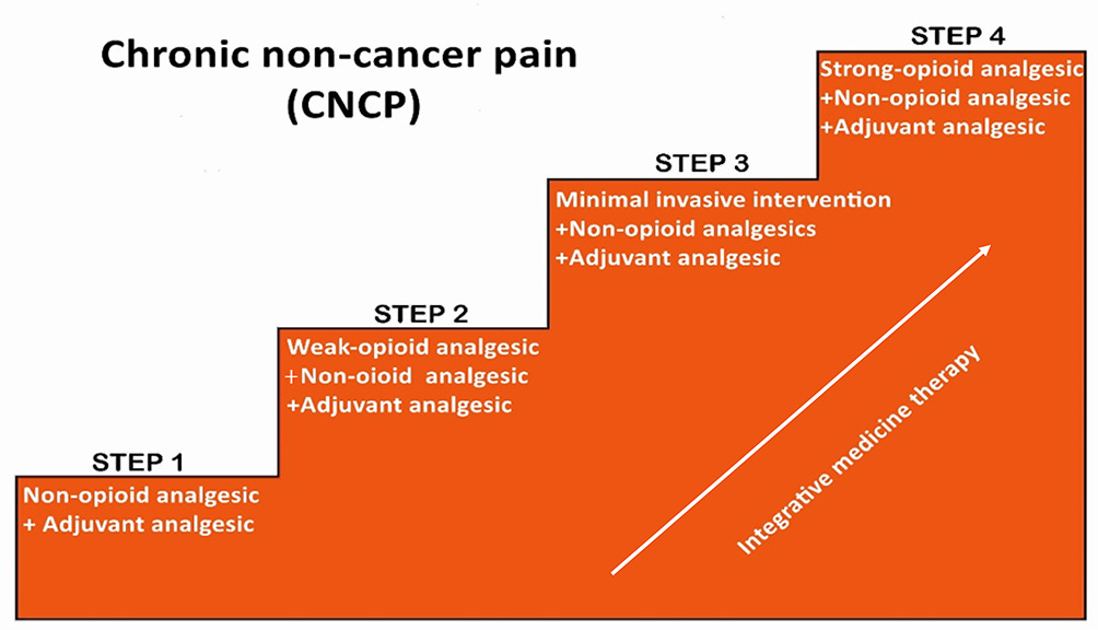 The Modified WHO Analgesic Ladder: Is It Appropriate for Chronic Non-C | JPR