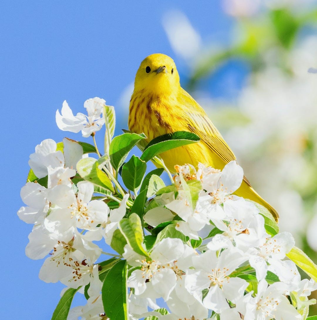 We Dont Know How To Spend Our Time