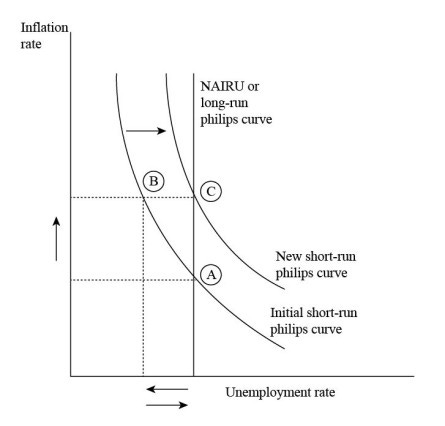 Draw the short-run Phillips curve and the long-run Phillips curve. Explain  why they are different. | Homework.Study.com