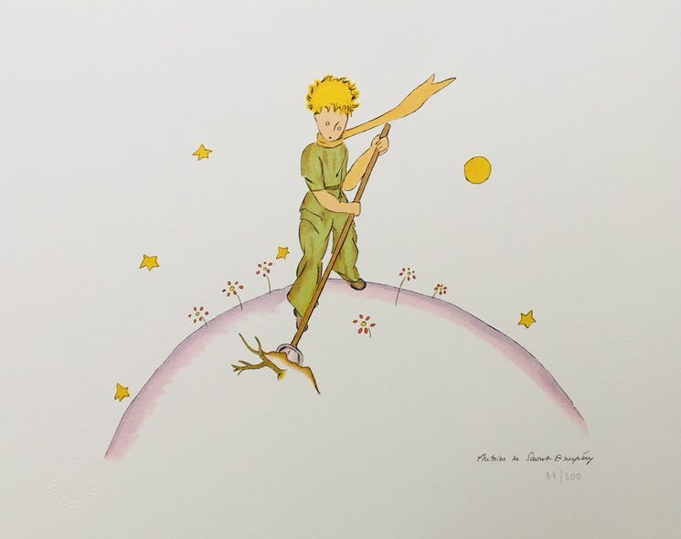 Art of the Little Prince cleaning his little planet.