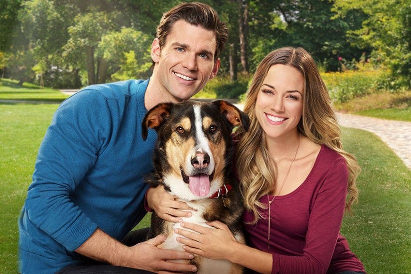 7 Hallmark Movies that Every Dog Lover Must See – The Witty Sloth