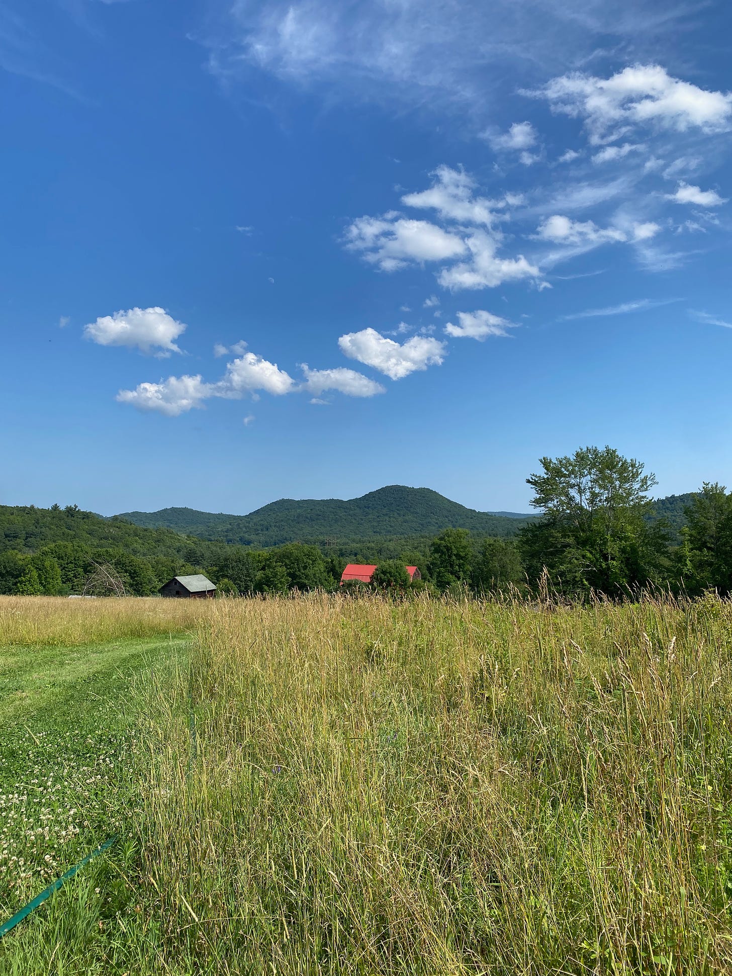 A hilltop farm: a large field with the red roof of a barn in the distance and a view of blue sky and distant hills.