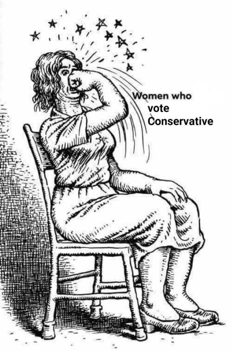 historic drawing of woman sitting in chair and punching herself in the face, captioned Women Who Vote Conservative