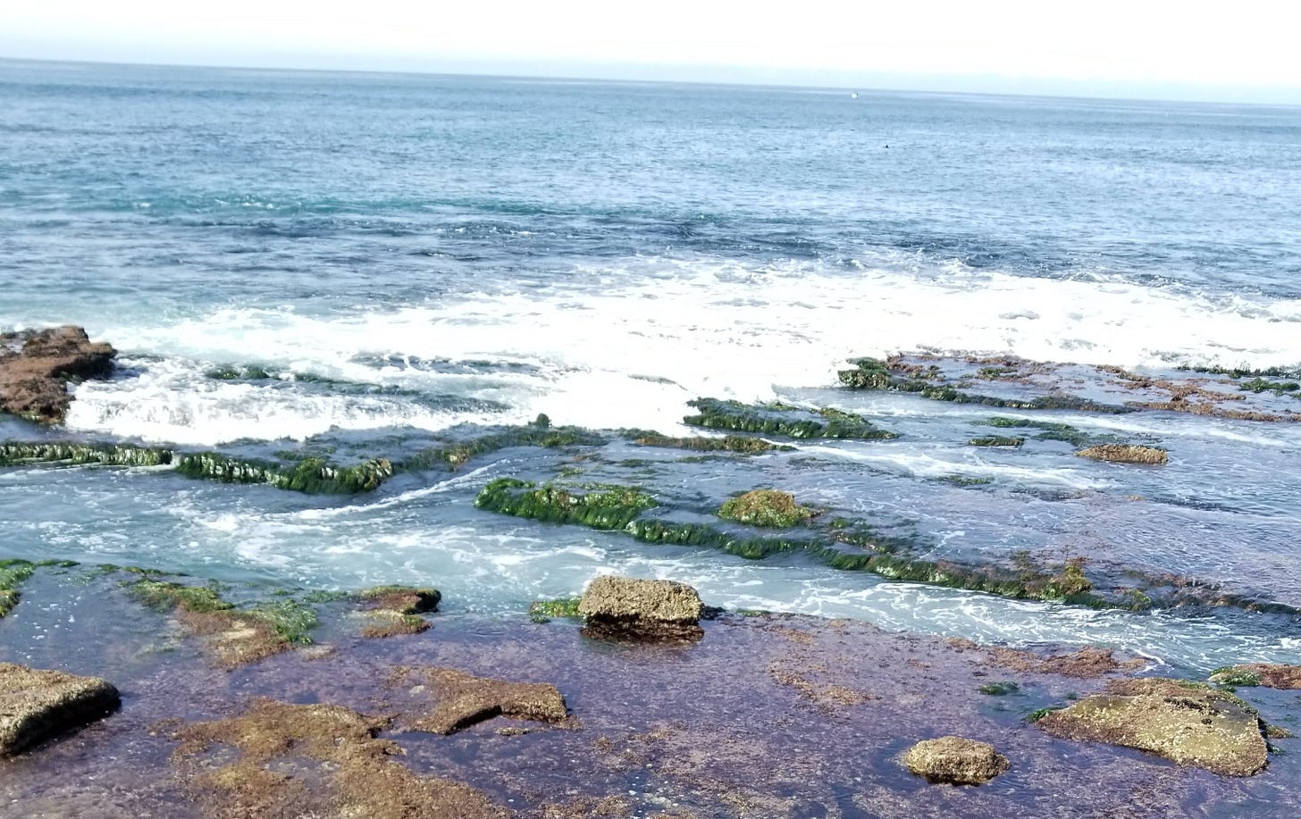 Ocean waves at low tide with seaweed visible