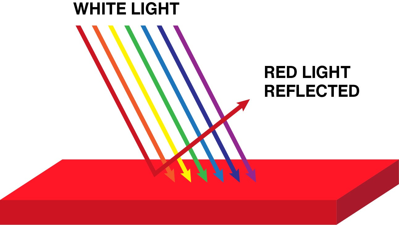 PANTONE® USA | How Do We See Color?