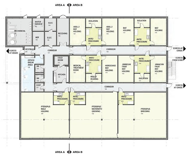 The above are draft floor plans of the 14,00sq-ft bat facility. The floorplan was included in documents obtained by the White Coat Waste Project and provided to DailyMail.com