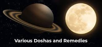 Various Doshas and Remedies | Longevity