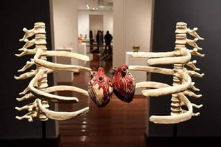Instalação Anatomia do Abraço de @art.lunalu
