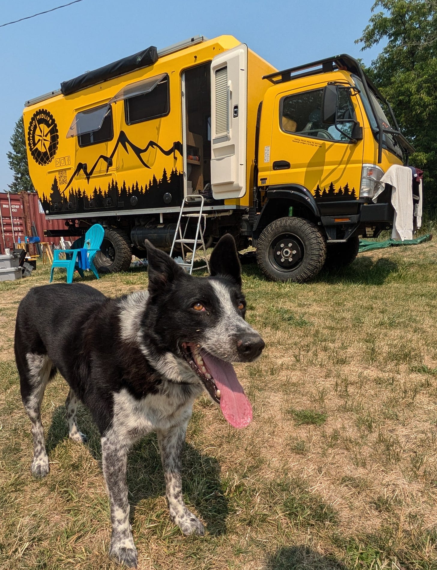 a black and white herding dog, tongue out, standing in front of a big yellow truck converted into an off-road camper rig