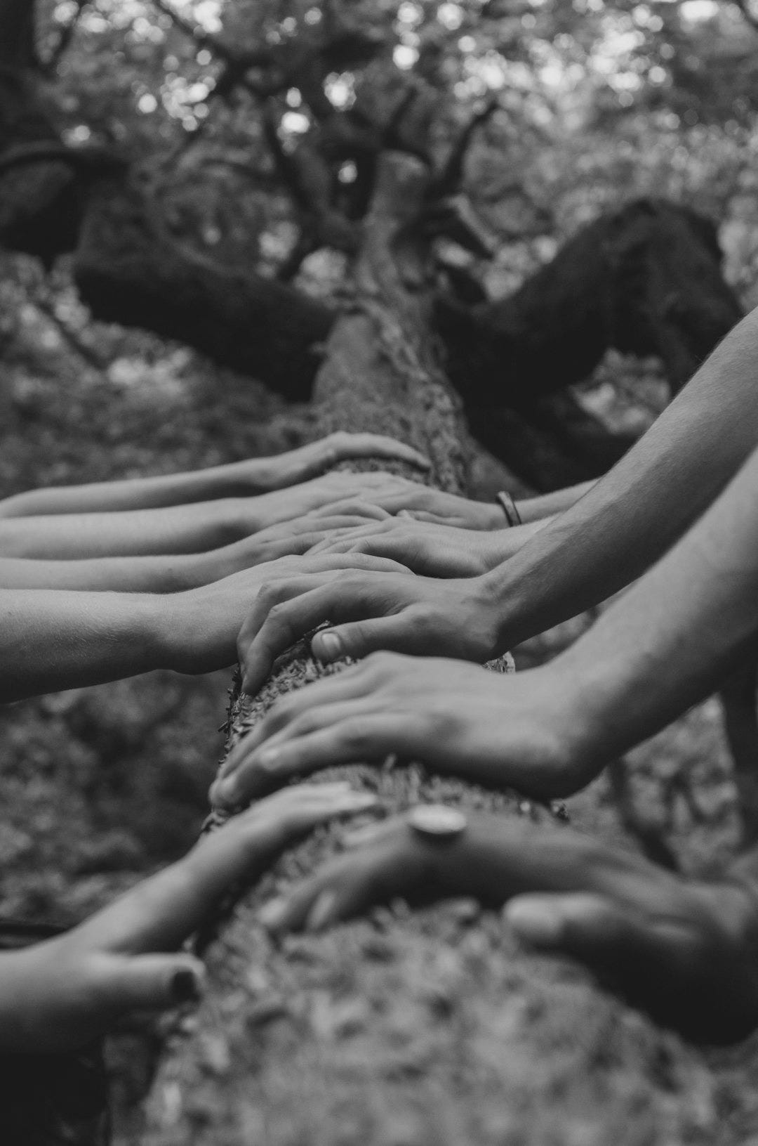 a group of people holding hands on top of a tree a group of people holding hands on top of a tree