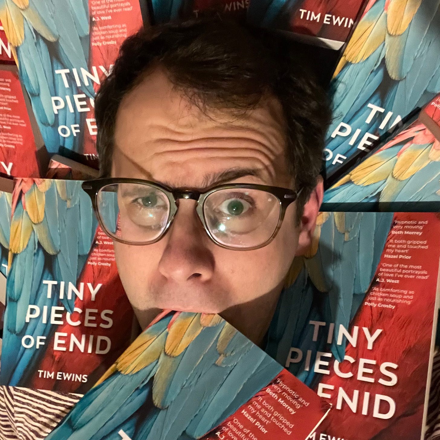 Tiny Pieces of Enid by Tim Ewins | Eye Books