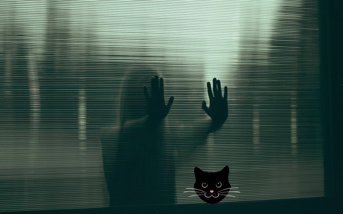 Image of person behind a screen and a cat face on the other side