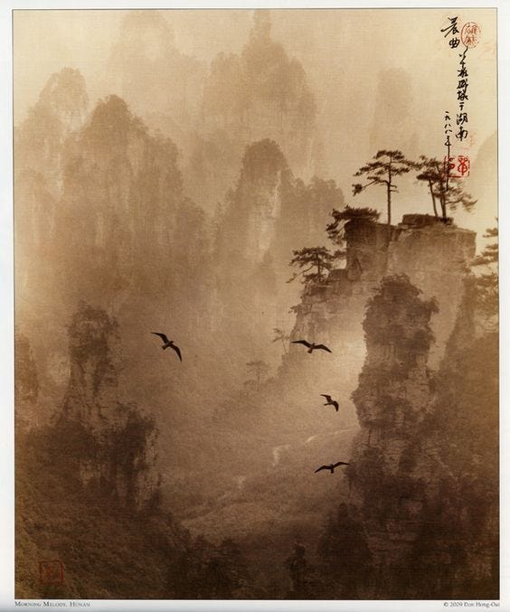 Don Hong-Oai's mystical and delicately toned sepia landscapes using the Chinese ''pictorial'' style of layering several negatives to compose a scene.