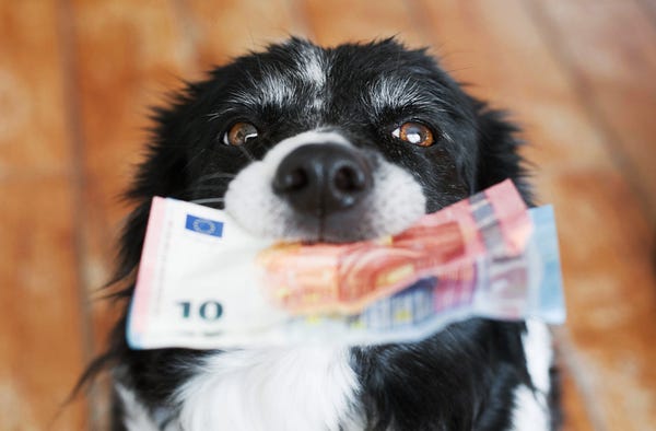 This Dividend Dog ETF Has Some Teeth
