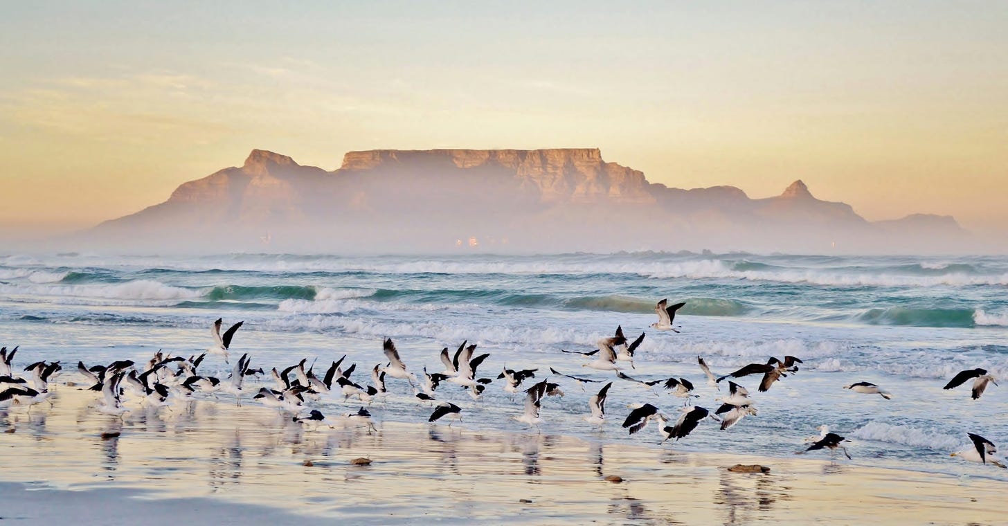 Landscape,With,Beach,And,Table,Mountain,At,Sunrise