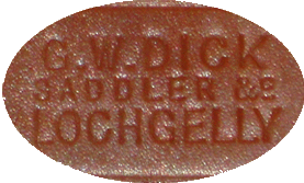 A close up of a pill

Description automatically generated