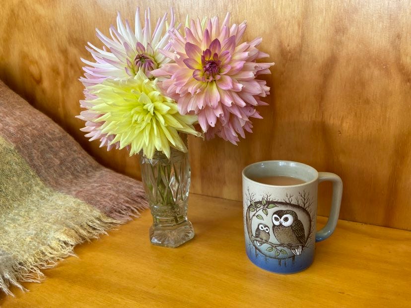 Close up photo of a crystal vase with pink and yellow dahlias next to a steaming cup of tea in a mug with owls on it. There is a soft mohair blanket in the same hues of pinks and yellows as the flowers in view on the left of the frame. 
