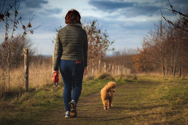 person walking with dog in nature