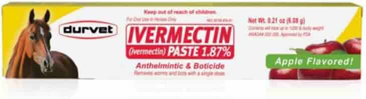 Amazon.com : Ivermectin Paste - Horse Wormer 1 Tube 6.08 Grams : Pet  Supplies