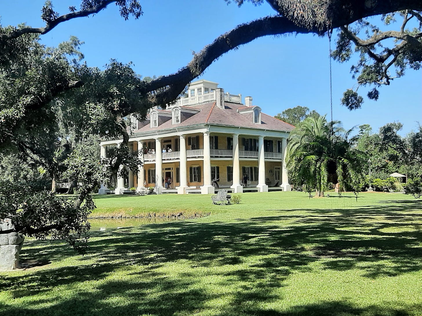 The outside of the stately houmas house with a live oak tree limb in the foreground.