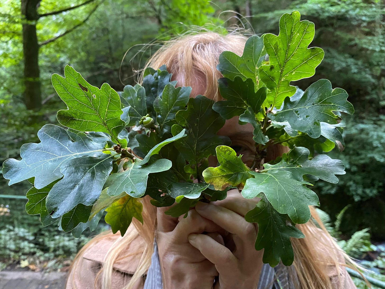 woman hiding behind oak leaves